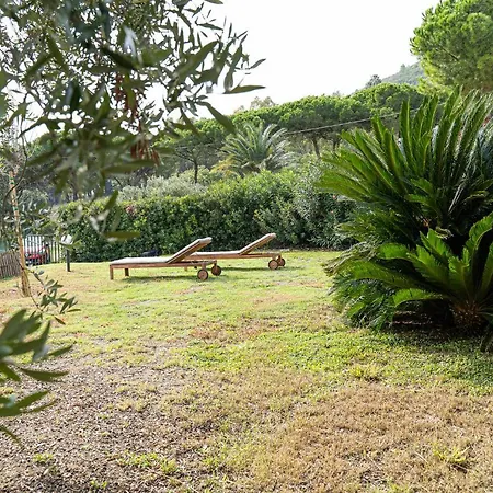 Marina Norsi * Capoliveri (Isola d'Elba)
